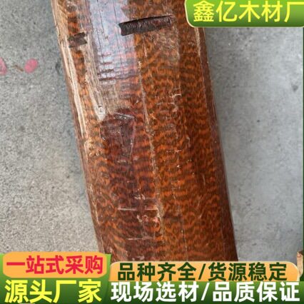 蛇纹木 鳝纹木 工艺品料 原木苏里南蛇纹木蛇桑木 鳝纹木 防腐木