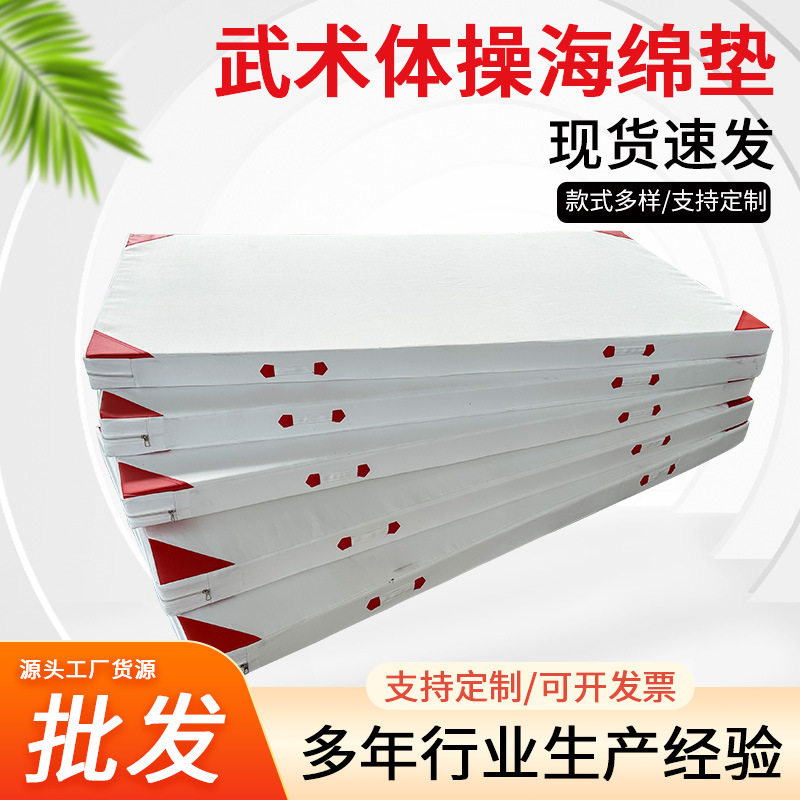 武术垫体操跆拳道垫武馆练功垫体育训练垫子海绵垫防滑环保材质
