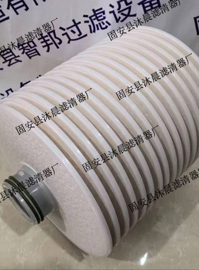 N15DM002  N15DM010/005/020/030精密叠片离线式滤油机滤油器滤芯