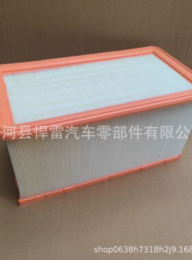 ZS1205038 ZS1192229 02250215-617-01 ZS1161022 空气过滤器滤芯