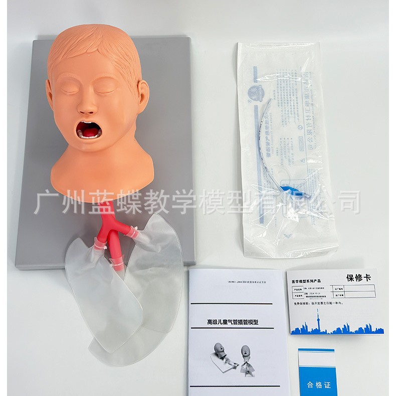 高级儿童气管插管模型 妇幼护理 护理模型 妇幼技能训练模型15/3