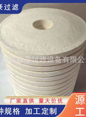 CJC精细滤芯PA5601302 BN27/27离线滤油机过滤器超滤精密工业滤芯