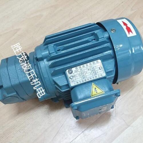 上海东高摆线油泵电机组BB-B16NJZ-1 摆线齿轮泵组  齿轮泵电机组