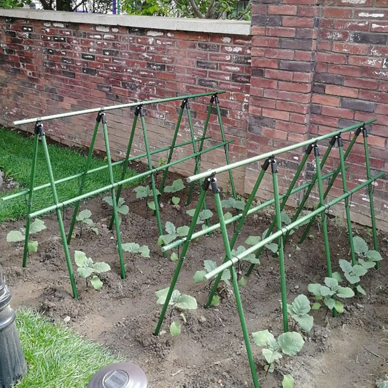爬藤架庭院户外植物攀援葡萄x架种菜豆角黄瓜架园艺花架支撑支架
