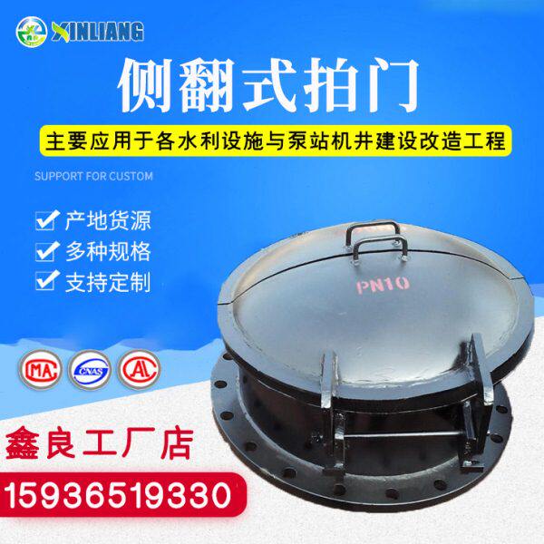 污水拍门 侧翻式拍门 浮箱拍门 铸铁拍门阀 水处理阀 拍门