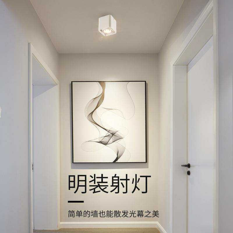 明装筒灯COB防眩led射灯免开孔双头豆胆灯客厅家用天花过道灯三头