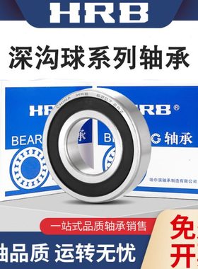 哈尔滨高速微型轴承6819 6820 6821 6822 6824 ZZ RS静音 6819ZZ