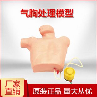 气胸处理模型气胸减压训练模拟人医学培训模型教学穿刺实训模拟人