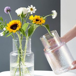 孔雀瓶轻奢北欧风玻璃花瓶透明锤纹高级感客厅餐桌水养插花装饰