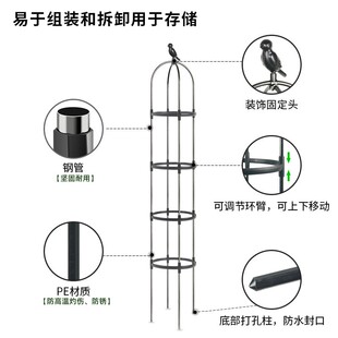 欧式铁艺爬藤架番茄攀爬架撑花架艺阳台铁线莲月季包塑园杆支支子