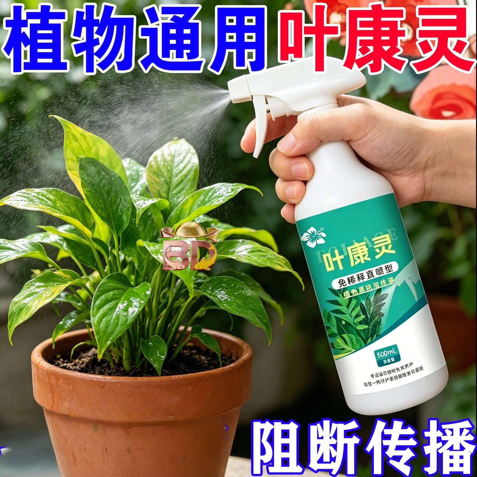 叶康灵植物营养液月季花病虫害常用药茶花桂花黄叶黑斑病专用药