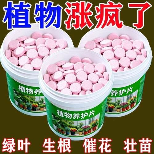 植物养护片缓释型肥料片氮磷钾绿植种花养花家用果蔬盆栽营养液