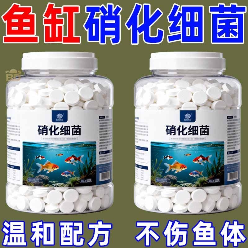 硝化细菌鱼缸用硝化菌片养鱼用品水立清净水剂水族鱼缸净水剂