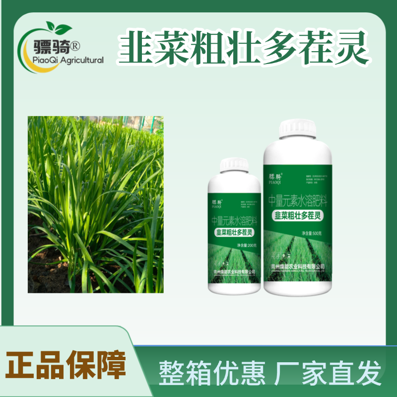 骠骑韭菜粗壮多茬灵韭菜叶面肥强力生根叶色浓绿
