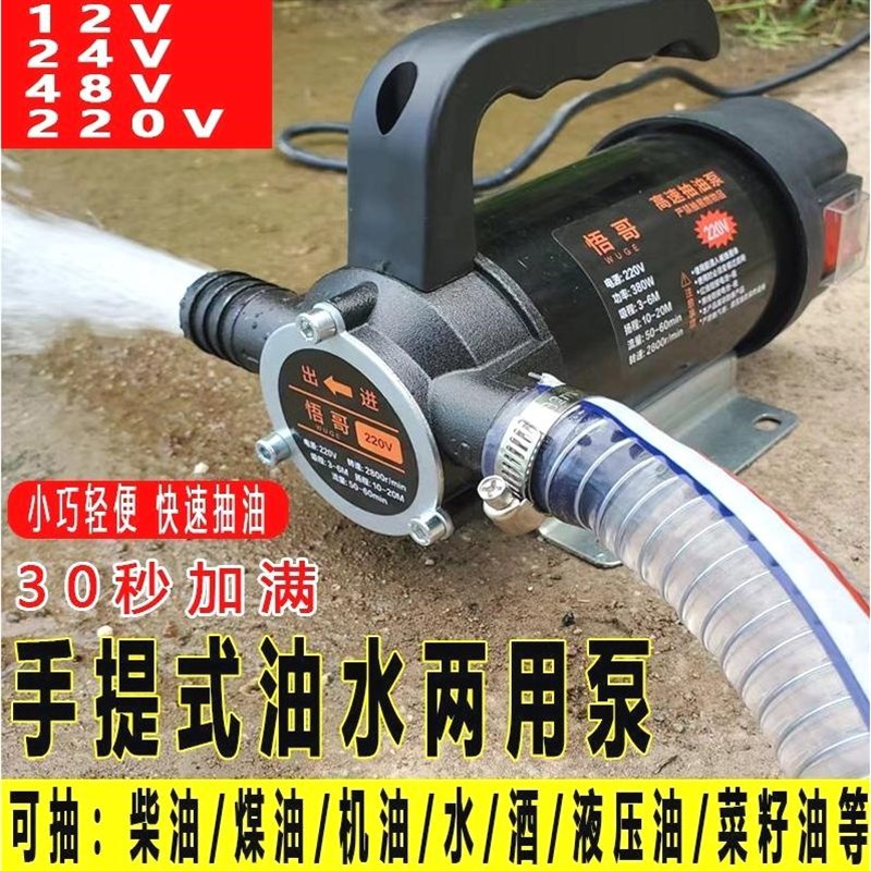 德国进口电动抽油抽水两用泵12V24V2G20V便携手提抽柴油自吸泵正