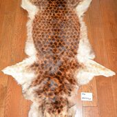 仿豹纹真毛皮褥子H 4沙发垫汽车坐垫飘窗垫椅垫酒店样板间挂毯