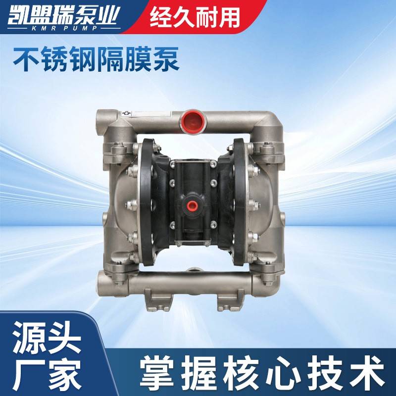 厂家直供PD10A-BSS-STT不锈钢隔膜泵304不锈钢排污泵机械多级泵