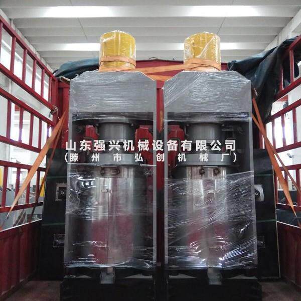 笨榨豆油新式榨油机器压榨核桃油沙棘油苏子油榨油机厂家