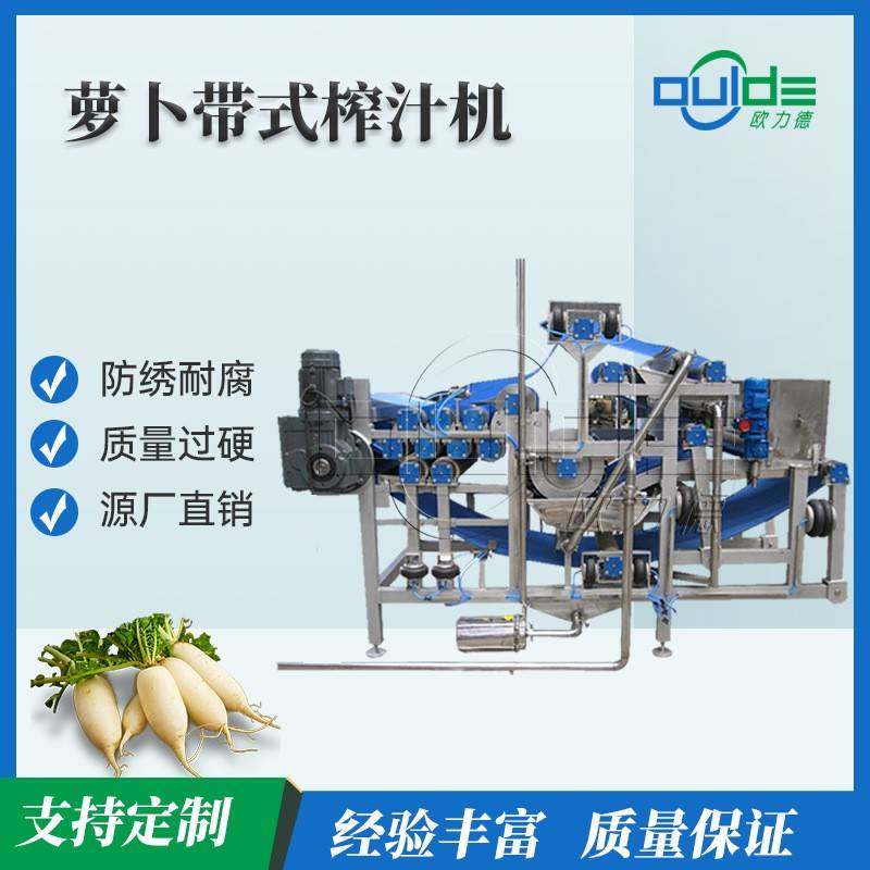 全自动工业果蔬榨汁机不锈钢蔬菜水果脱水萝卜果肉类带式压榨机,清洗/食品/商业设备,其他食品加工设备,淘宝优惠券,粉丝福利购,淘宝优惠卷