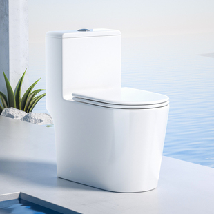 苏泊尔虹吸式 马桶节水防臭抽水家用无棱内壁静音大冲力坐便器203E