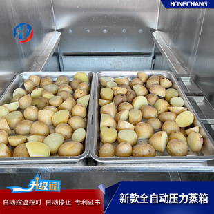 土豆全自动压力蒸箱 生熟分区蒸煮设备 前后开门控温蒸房新品推荐