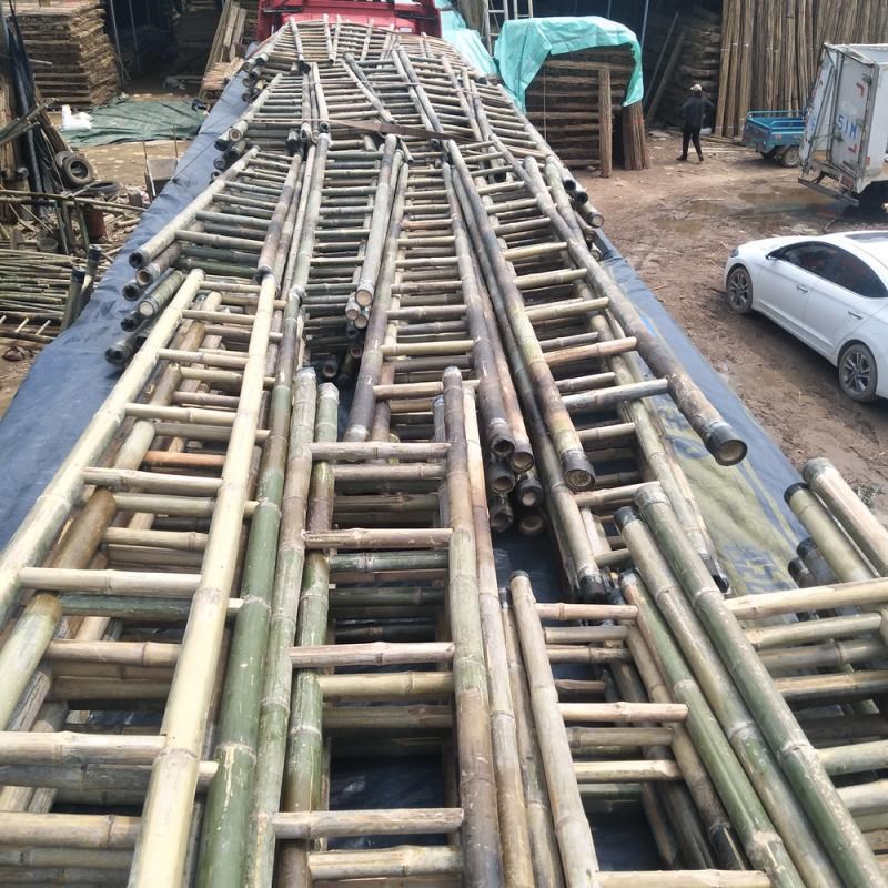 3DC8毛竹梯子家用人字梯直梯2米3米4米5米6米幼儿园竹梯子薇妍