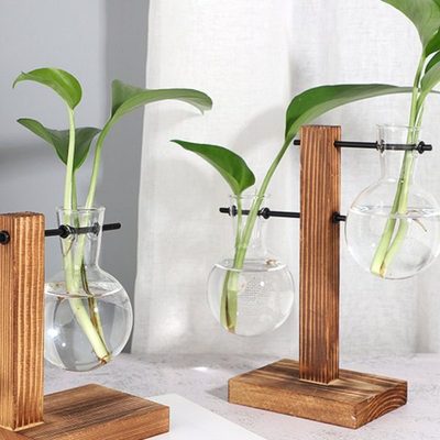 创意玻璃花瓶水培植物容器透明桌面摆件装饰木花器水养绿萝小花盆
