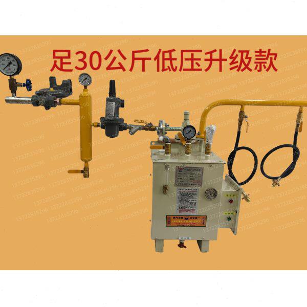 气化炉液化气化器中邦加热炉汽化炉防爆LPG汽化器商用工业石油煤