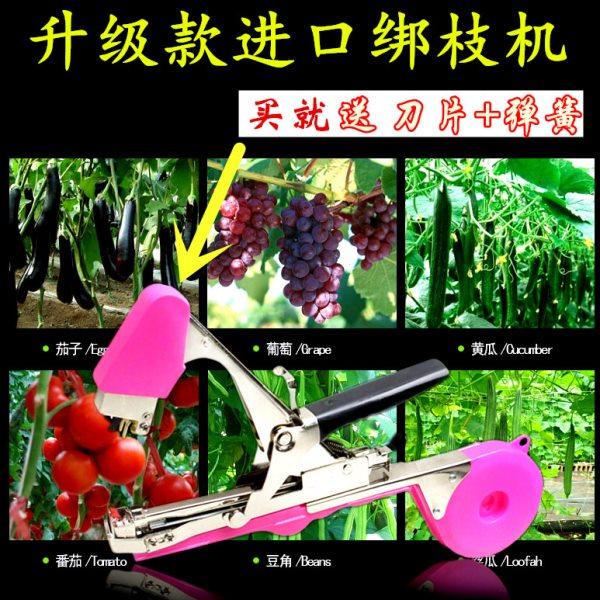 绑黄瓜绑枝机胶带绑枝神器葡萄西红柿绑枝机绑藤绑蔓器捆绑机钉子,农机/农具/农膜,绑枝机/绑蔓机,淘宝优惠券,粉丝福利购,淘宝优惠卷