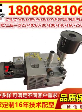 ZYBW...E真空压力复合气泵 ZYBW60E滑片泵甩片泵干泵 镇江气泵