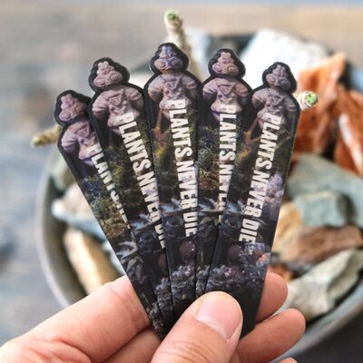 pnd原创块根植物立体变换花牌创意多肉植物记录插签花盆土偶装饰