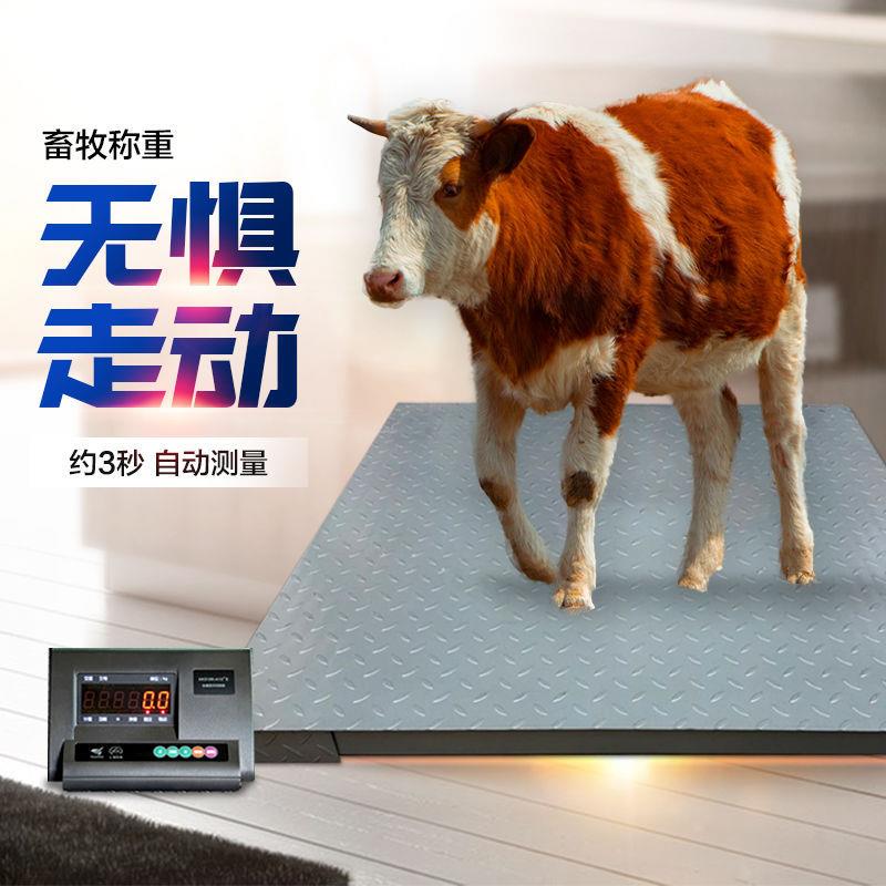上海耀华地磅秤称猪秤牛秤羊地磅防抖动1-3吨工厂小型电子地磅称