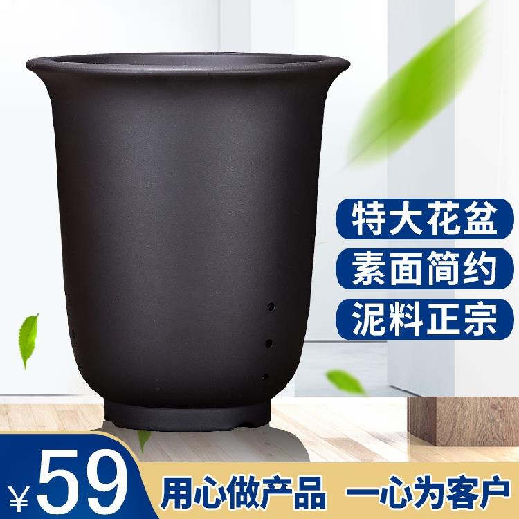 特大紫砂兰花盆紫砂花盆君子兰盆景花盆墨兰建兰盆阳台客厅盆