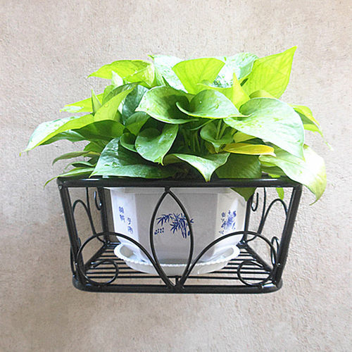 壁挂式花架 挂壁挂墙上 墙壁z墙面花盆架子 吊兰绿萝花篮架 打孔