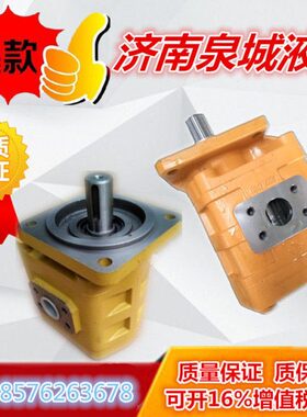 临工CBGJ3160左旋六齿矩形花键泉城牌自卸车改装泵原厂 3140 3100