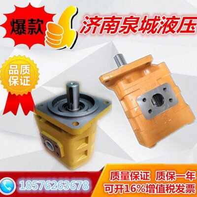 临工CBGJ3160左旋六齿矩形花键泉城牌自卸车改装泵原厂 3140 3100