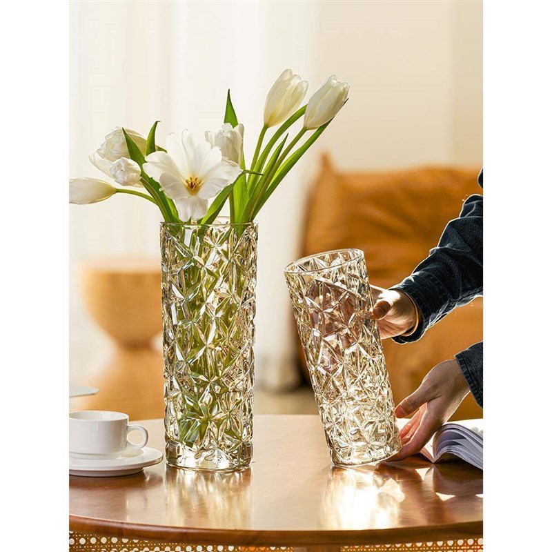 花瓶摆件客厅插花大玻璃透明水养玫瑰高级感N鲜花轻奢圆柱网红水