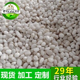 白色雨花石鹅卵石白石子水洗石铺路石鱼池装饰鹅卵石子多肉铺面石