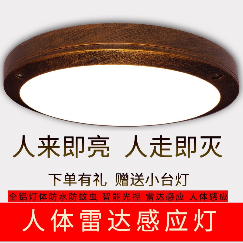 户外防水感应吸顶l灯大门口入户阳台灯室外防潮走廊过道灯地下室