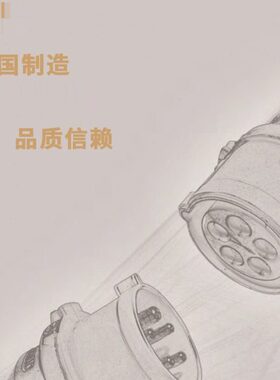 原装德国霸士BALS工业防水插头插座63A/5线IP67插头Typ2189