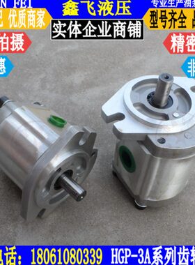 HGP-3A-F6R/F8R/F11R/F13R/F14R/F17R/F19R/F23R齿轮油泵EGP F4R