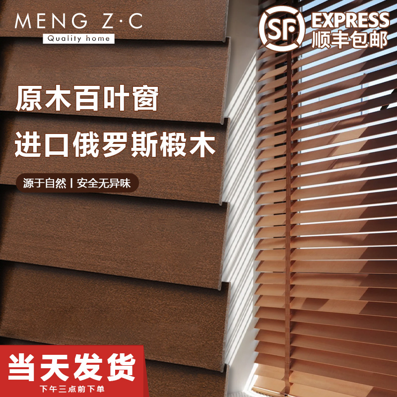 卷拉式木百叶遮光升降卷帘2024C新款客厅书房轻奢现代简约电动窗