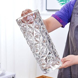 加厚花瓶玻璃透明水养富贵竹玫瑰百合干花插花摆件大号客厅花器