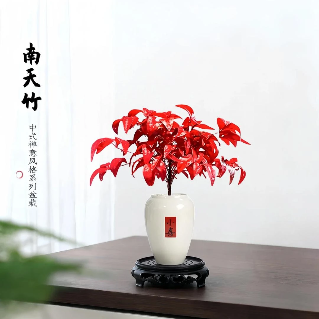 【下单立减50】火焰南天竹盆栽耐寒耐热四季常青好养活禅意绿_JK