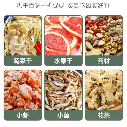 烘干机食品宠物零食水果