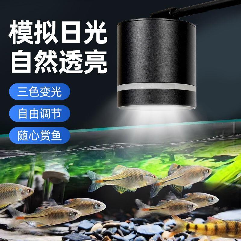 新款鱼缸筒灯高亮照明灯