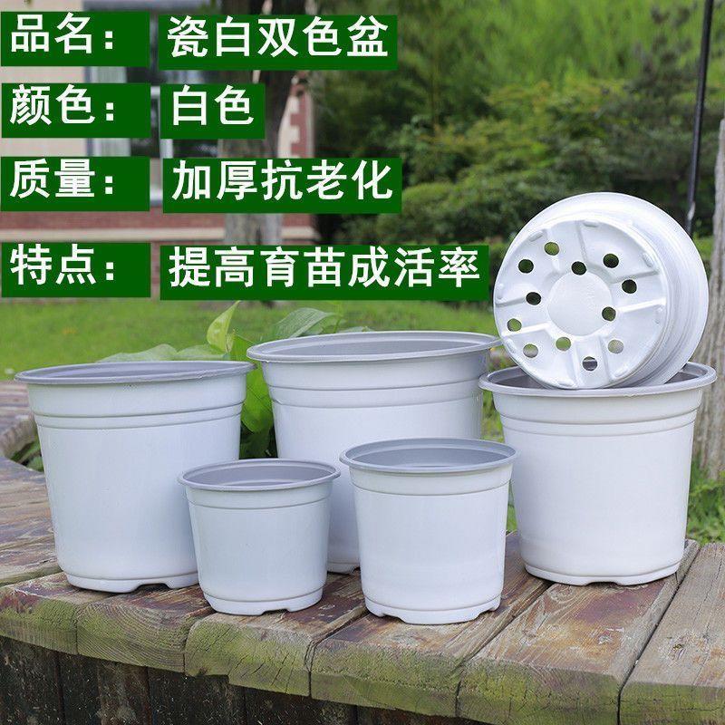 双色盆家用彩色育苗软塑