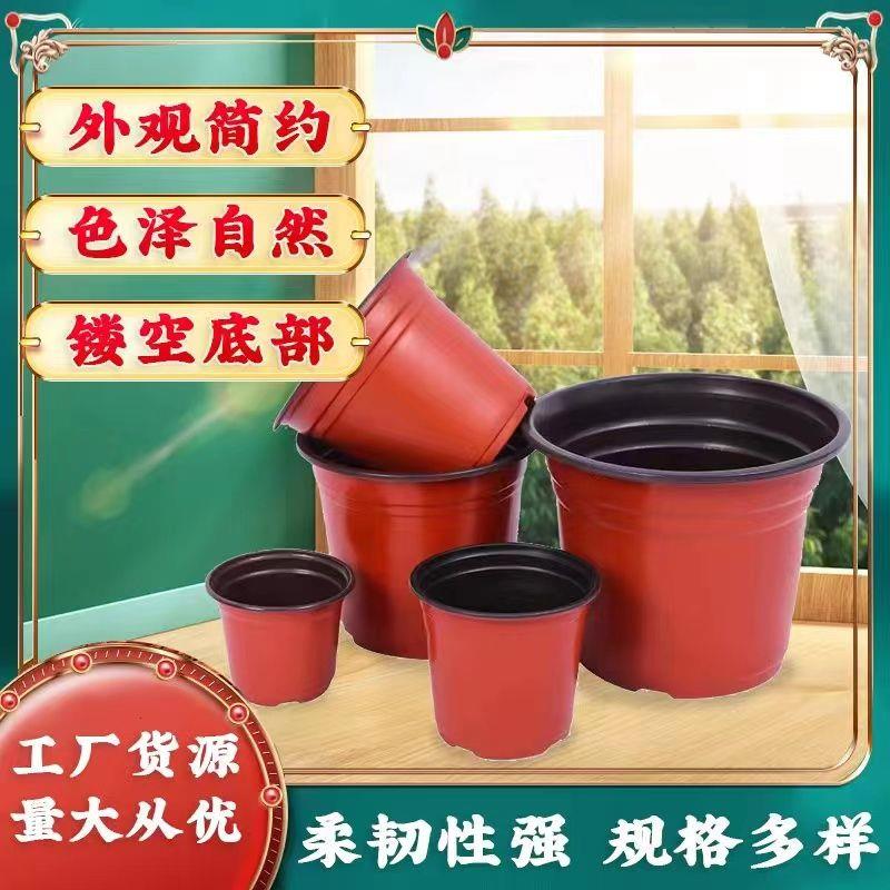 一次性育苗双色盆塑料加