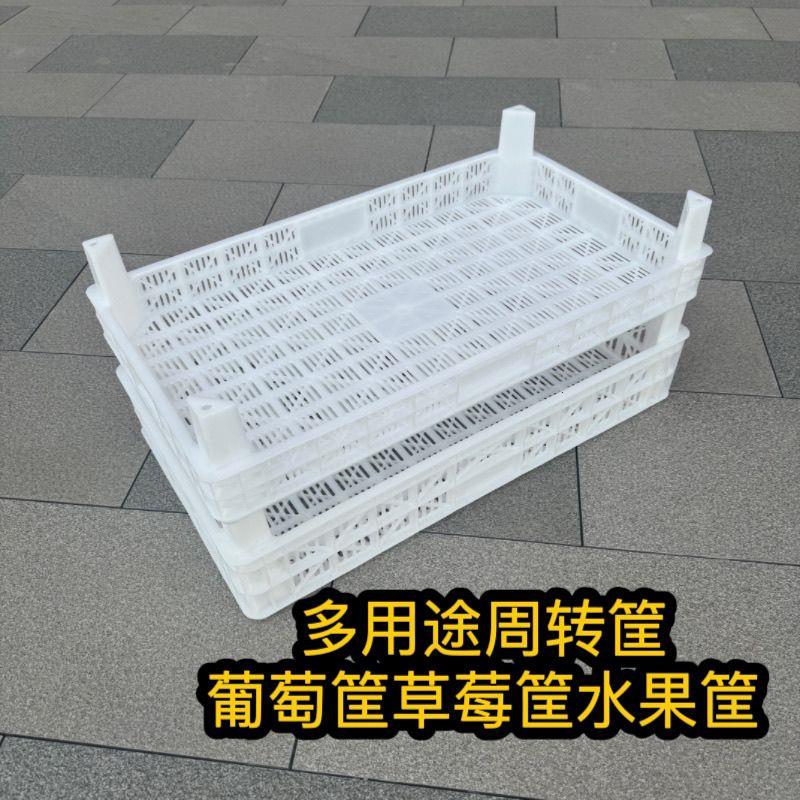 葡萄筐加厚周转筐运输塑