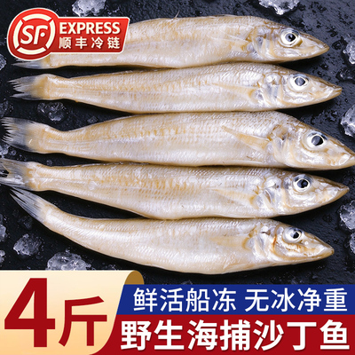特大沙丁鱼新鲜冷冻无冰深海鱼